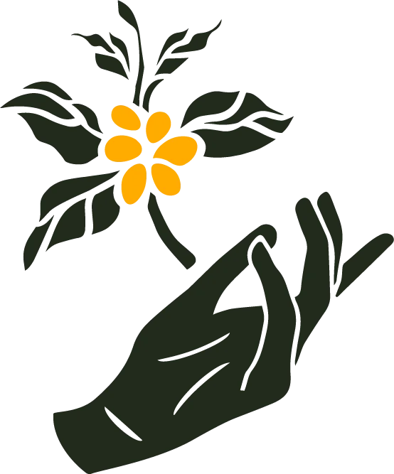 Fairfax Coffee logo